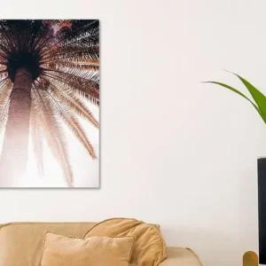 Zonnestralen door de palmboom van Madinja Groenenberg - NL1389038M13S50x75 Affaire À Saisir