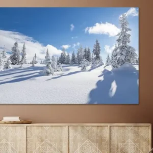 Winterlandschap "Winter Wonderland" van Coen Weesjes - NL137680M13S75x50 Commande En Gros