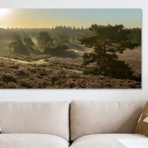Zonsopkomst op de Veluwe van Sjoerd van der Wal Fotografie - NL164121M13S80x45 Certifié