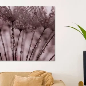 Abstract oudroze: Een bos van pluisjes met druppels van Marjolijn van den Berg - NL990395M13S75x50 Quantité Limitée